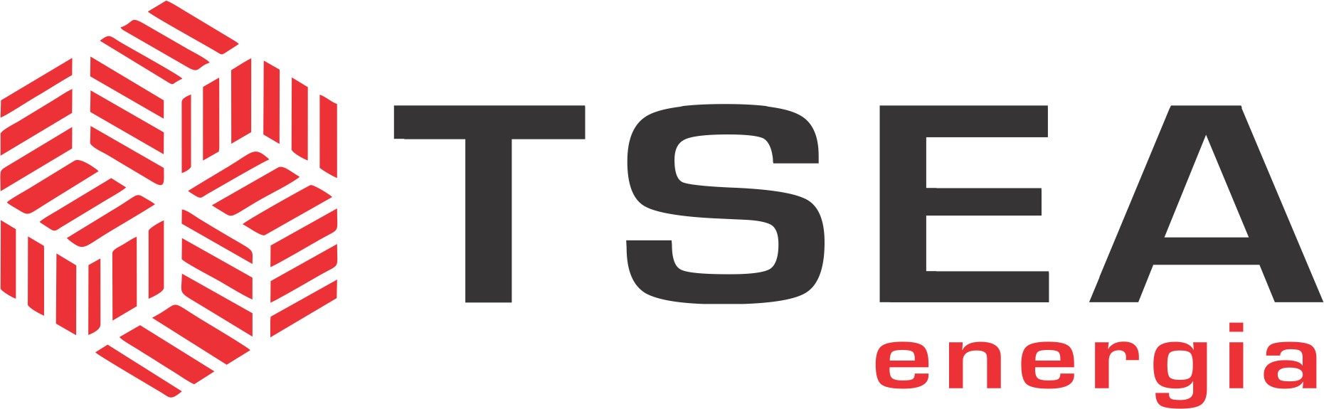 Logo TSEA